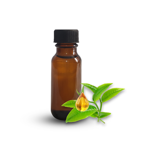 Tea Tree Essential Oil (Australian) Di Naturals Bulk